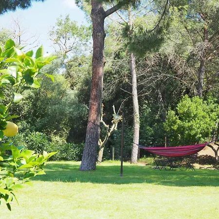 Pitu Costabravasi